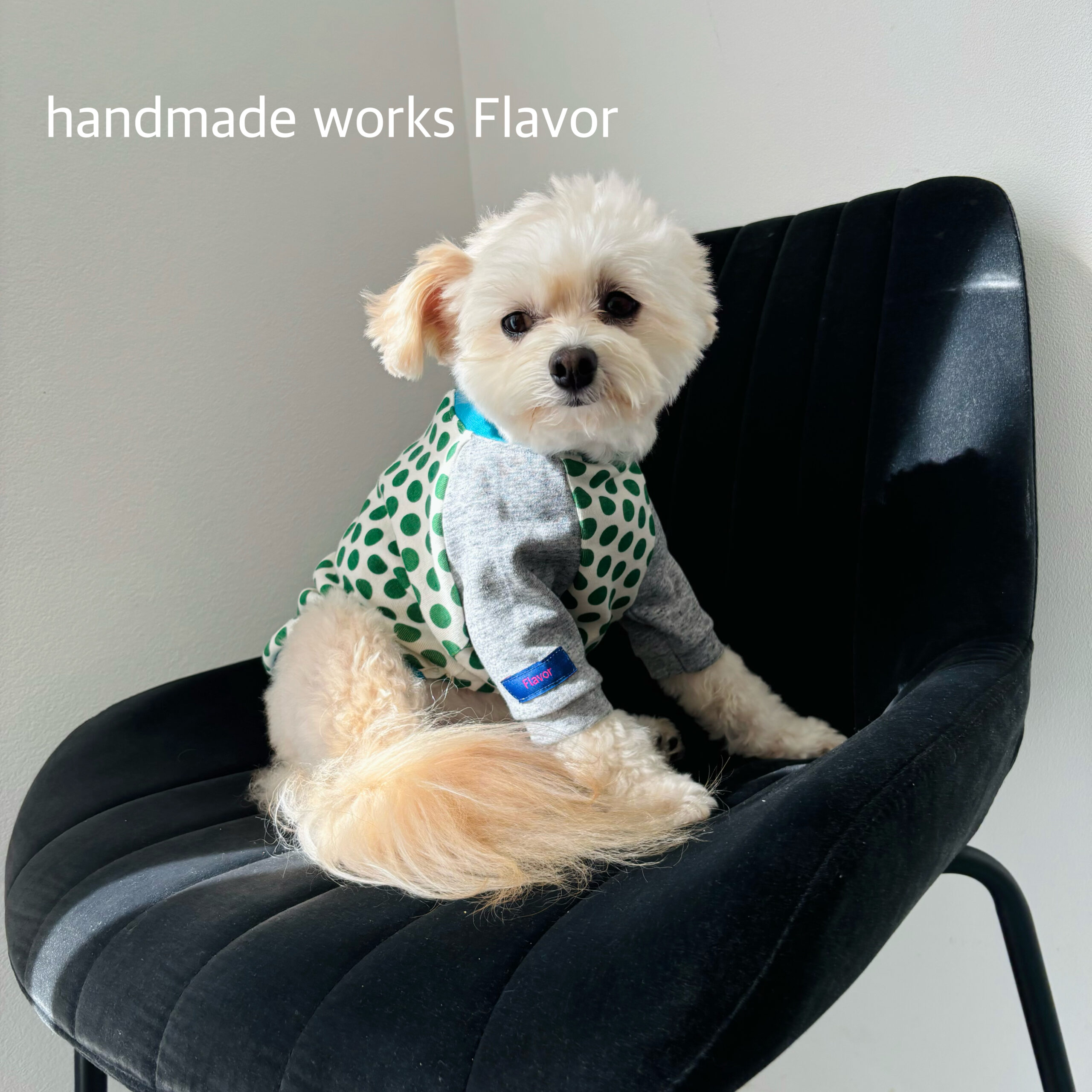 月うささま確認用☺︎わんこふく　犬服 あーままさま確認用☺︎わんこふく 犬服 月うささま確認用☺︎