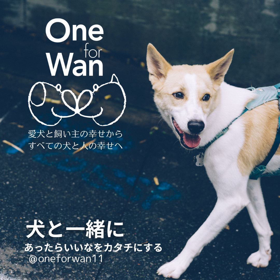 88983a58363e5bd008a20e8cfa3f1f